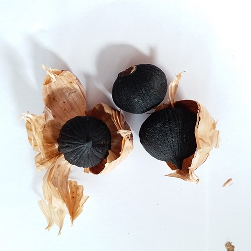 Black garlic