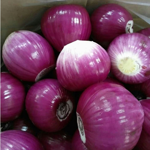 Peeled purple onion