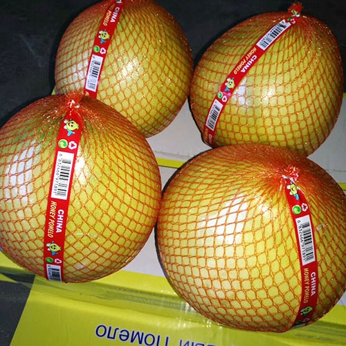 Pomelo