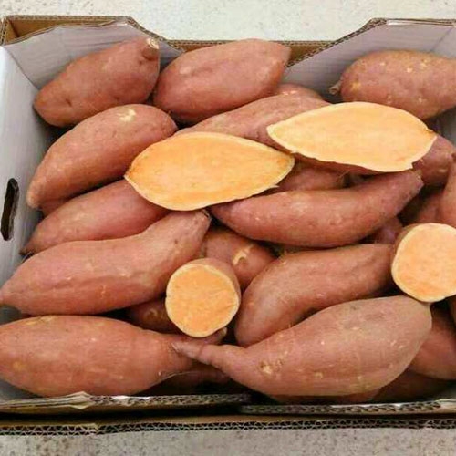 Sweet Potato