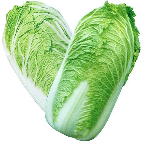 Chinese Cabbage