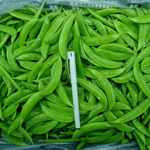 Sugar Snap Pea