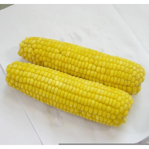 frozen boiled glutinous corn