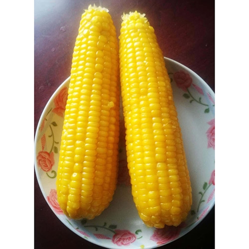 frozen boiled glutinous corn