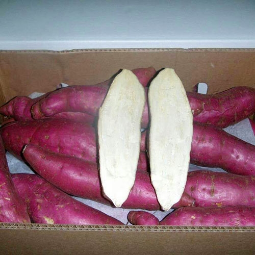 冷冻红薯